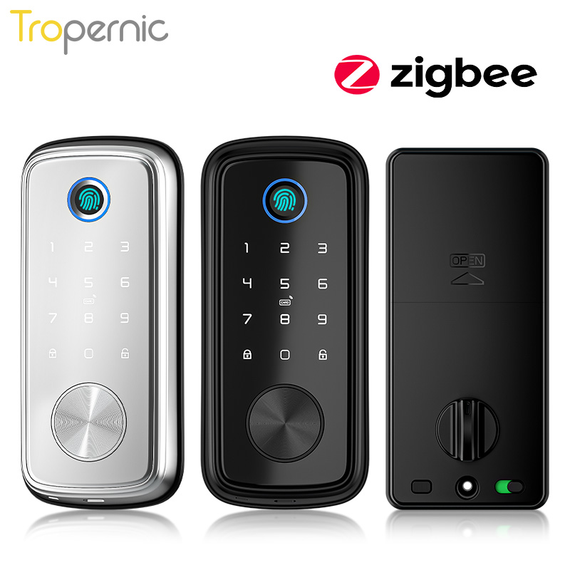 Zigbee Tuya kunci gerendel pin - Smart Door Lock Wifi ulasan dan harga