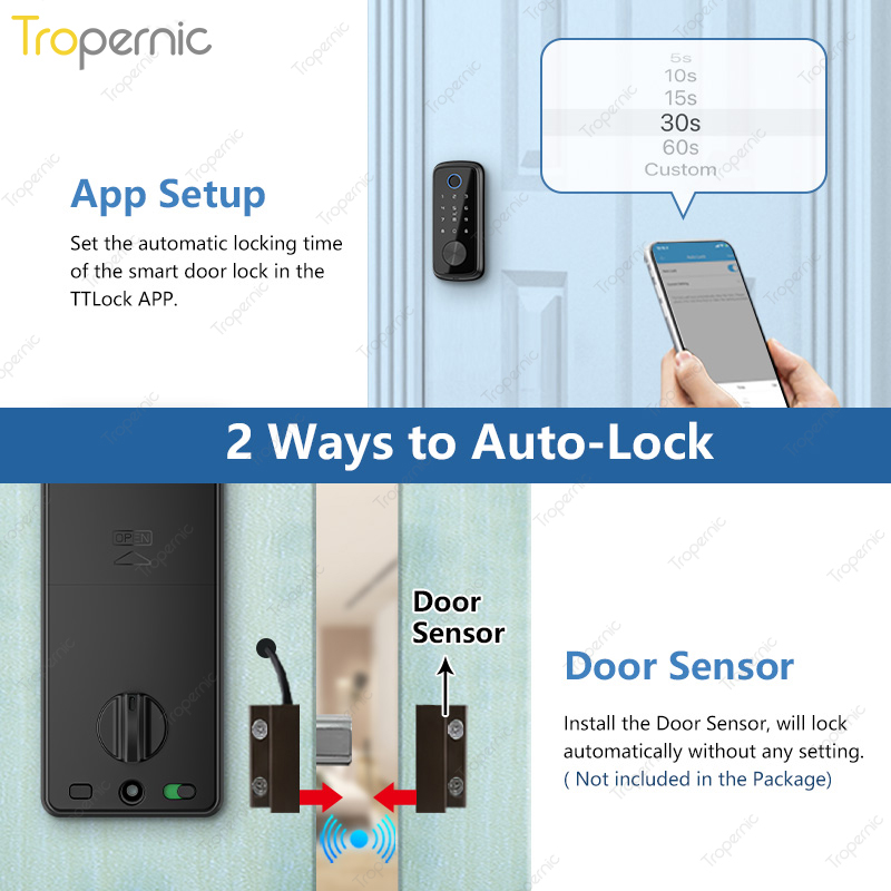 Zigbee Tuya kunci gerendel pin - Smart Door Lock Wifi ulasan dan harga